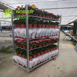 قفسه های گلدان سبد دانمارکی با پوشش پودر 1900 میلی متر