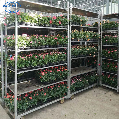 چرخ نایلونی 2 چرخ جهت دار 2 چرخ جهانی