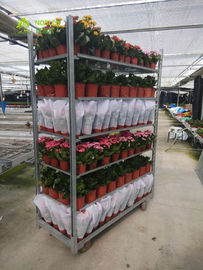 گلدان گلدان گلدان CC گلدان تراکم 400 کیلوگرم ظرفیت بارگیری