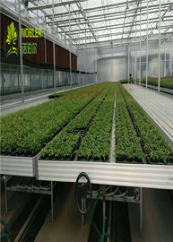 Nobler Greenhouse Grow تخت جدید سیستم های پایه رشد ثابت ثابت
