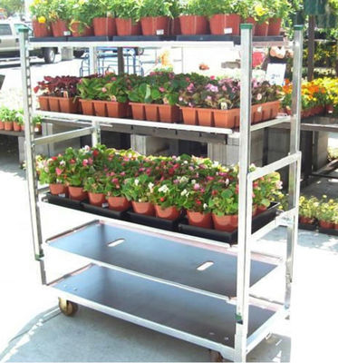 ظروف ذخیره سازی بی پی ای رایگان از پلاستیک شفاف