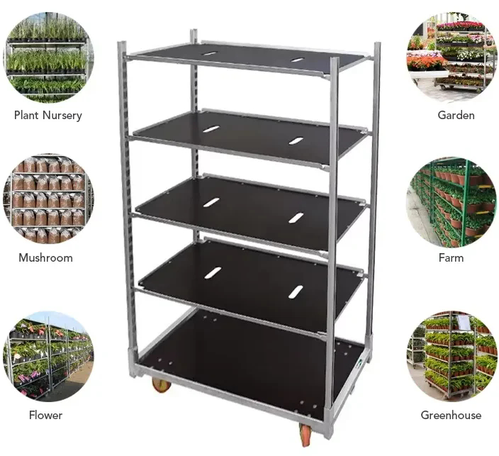 پودر پوشانده شده کشاورزی کاشت گل دانمارک Trolleys کارتن برای برداشت گلخانه