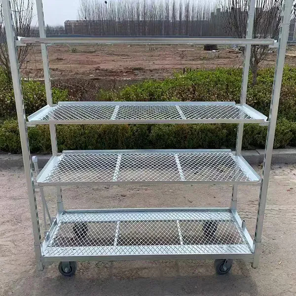 گالوانیزه گرم PP چرخنده 1350*565mm سبد گل و گیاه کشاورزی سبدهای دانمارکی برای سبد برداشت گلخانه
